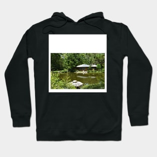 zen garden ecopop landscape photograph in houston tx park Hoodie